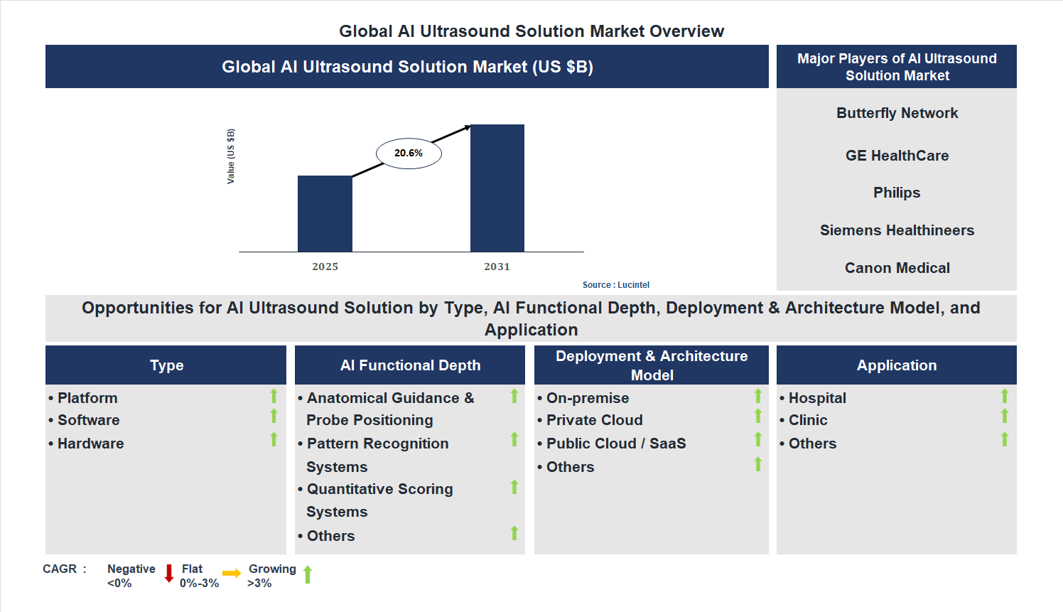AI Ultrasound Solution Market Trends and Forecast